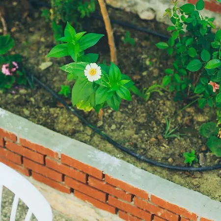 Dantel Pansiyon Kas Homestay *